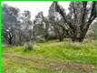15572 SHARPE DRIVE CLEARLAKE, CA 95422