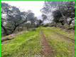 15572 SHARPE DRIVE CLEARLAKE, CA 95422