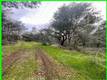 15572 SHARPE DRIVE CLEARLAKE, CA 95422