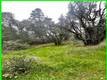 15572 SHARPE DRIVE CLEARLAKE, CA 95422