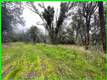 15572 SHARPE DRIVE CLEARLAKE, CA 95422