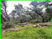 15572 SHARPE DRIVE CLEARLAKE, CA 95422