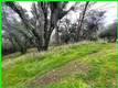 15572 SHARPE DRIVE CLEARLAKE, CA 95422