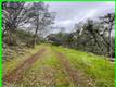 15572 SHARPE DRIVE CLEARLAKE, CA 95422