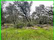 15572 SHARPE DRIVE CLEARLAKE, CA 95422