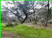 15572 SHARPE DRIVE CLEARLAKE, CA 95422