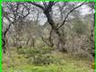 15652 HIGHLAND AVENUE CLEARLAKE, CA 95422