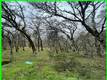 15652 HIGHLAND AVENUE CLEARLAKE, CA 95422