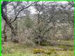 15652 HIGHLAND AVENUE CLEARLAKE, CA 95422