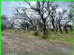 15365 MASON STREET CLEARLAKE, CA 95422