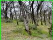 15365 MASON STREET CLEARLAKE, CA 95422