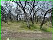 15365 MASON STREET CLEARLAKE, CA 95422