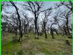 15365 MASON STREET CLEARLAKE, CA 95422