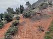3582 CRESTWOOD KELSEYVILLE, CA 95451