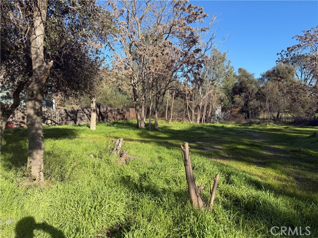 3606 OLEANDER CLEARLAKE, CA 95422