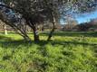 3606 OLEANDER CLEARLAKE, CA 95422
