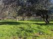 3606 OLEANDER CLEARLAKE, CA 95422