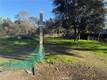 3626 OLEANDER CLEARLAKE, CA 95422