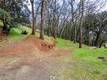 2628 GREENWAY DRIVE KELSEYVILLE, CA 95451