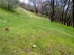 2628 GREENWAY DRIVE KELSEYVILLE, CA 95451