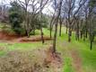 2628 GREENWAY DRIVE KELSEYVILLE, CA 95451