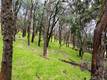 2628 GREENWAY DRIVE KELSEYVILLE, CA 95451