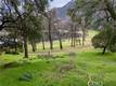 2628 GREENWAY DRIVE KELSEYVILLE, CA 95451