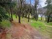 2628 GREENWAY DRIVE KELSEYVILLE, CA 95451