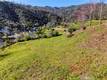 11180 ROSE ANDERSON MIDDLETOWN, CA 95461