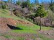 11180 ROSE ANDERSON MIDDLETOWN, CA 95461
