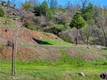 11180 ROSE ANDERSON MIDDLETOWN, CA 95461