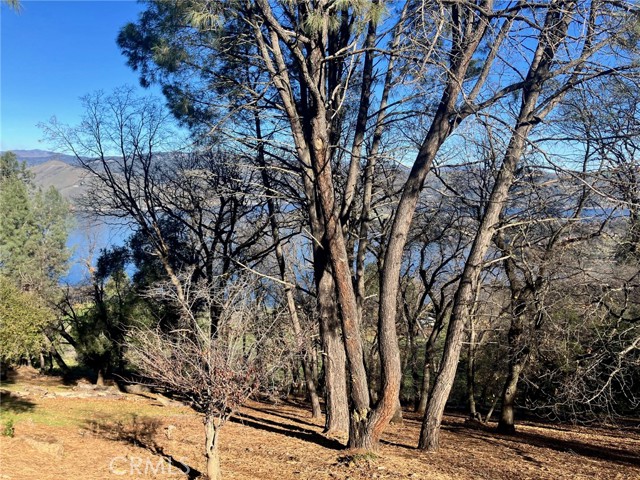 3050 RIVIERA HEIGHTS KELSEYVILLE, CA 95451