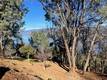 3050 RIVIERA HEIGHTS KELSEYVILLE, CA 95451