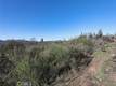 16597 2ND CLEARLAKE, CA 95422