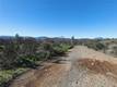 16597 2ND CLEARLAKE, CA 95422