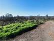 16597 2ND CLEARLAKE, CA 95422