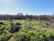 16597 2ND CLEARLAKE, CA 95422
