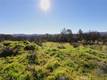 16597 2ND CLEARLAKE, CA 95422