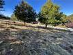7826 EVERGREEN KELSEYVILLE, CA 95451