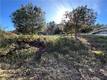 7826 EVERGREEN KELSEYVILLE, CA 95451