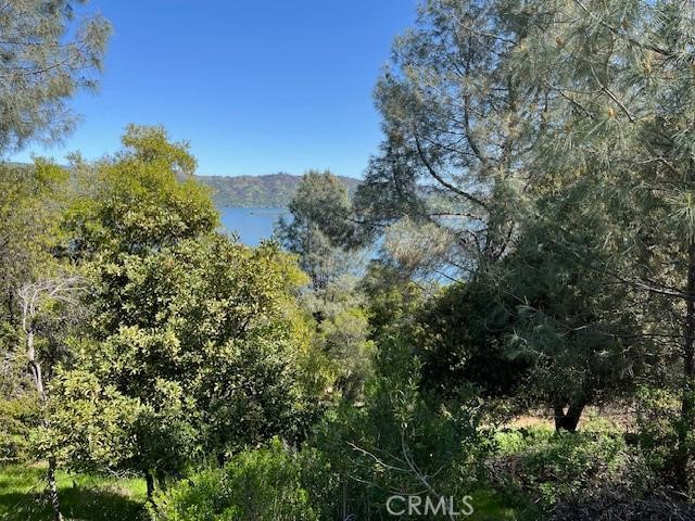 8444 SODA BAY ROAD KELSEYVILLE, CA 95451