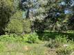 8444 SODA BAY ROAD KELSEYVILLE, CA 95451