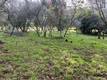 8444 SODA BAY ROAD KELSEYVILLE, CA 95451