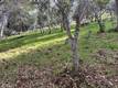 8444 SODA BAY ROAD KELSEYVILLE, CA 95451