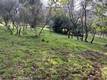 8444 SODA BAY ROAD KELSEYVILLE, CA 95451
