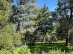 8444 SODA BAY ROAD KELSEYVILLE, CA 95451