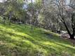 8452 SODA BAY ROAD KELSEYVILLE, CA 95451