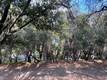 8452 SODA BAY ROAD KELSEYVILLE, CA 95451