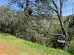 7333 TEHAMA NICE, CA 95464