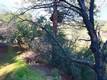 7333 TEHAMA NICE, CA 95464